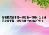 好看的皮囊千篇一律后面一句是什么（好的皮囊千篇一律整句是什么簡介介紹）