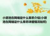 小碧池在網(wǎng)絡(luò)是什么意思介紹(小碧池在網(wǎng)絡(luò)是什么意思詳細(xì)情況如何)