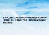 手機端上有什么類似行尸走肉一樣的劇情單機游戲介紹(手機端上有什么類似行尸走肉一樣的劇情單機游戲詳細情況如何)