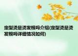 定型燙是燙發(fā)根嗎介紹(定型燙是燙發(fā)根嗎詳細情況如何)