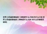世界上忠誠(chéng)度最低的三種狗是什么犬種(為什么介紹 世界上忠誠(chéng)度最低的三種狗是什么犬種 為什么詳細(xì)情況如何)