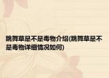 跳舞草是不是毒物介紹(跳舞草是不是毒物詳細(xì)情況如何)