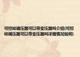 可控硅調(diào)壓器可以帶變壓器嗎介紹(可控硅調(diào)壓器可以帶變壓器嗎詳細情況如何)