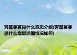 芳草萋萋是什么意思介紹(芳草萋萋是什么意思詳細(xì)情況如何)