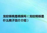 龍紋核桃是桃核嗎（龍紋桃核是什么桃子簡介介紹）
