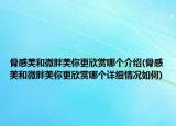 骨感美和微胖美你更欣賞哪個介紹(骨感美和微胖美你更欣賞哪個詳細情況如何)