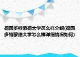 德國(guó)多特蒙德大學(xué)怎么樣介紹(德國(guó)多特蒙德大學(xué)怎么樣詳細(xì)情況如何)