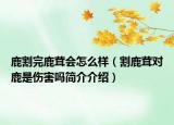 鹿割完鹿茸會怎么樣（割鹿茸對鹿是傷害嗎簡介介紹）