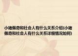 小豬佩奇和社會(huì)人有什么關(guān)系介紹(小豬佩奇和社會(huì)人有什么關(guān)系詳細(xì)情況如何)