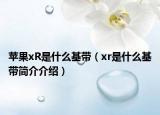 蘋果xR是什么基帶（xr是什么基帶簡介介紹）