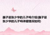 巍子是張少華的兒子嗎介紹(巍子是張少華的兒子嗎詳細(xì)情況如何)