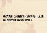 燕子為什么往南飛（燕子為什么往南飛因?yàn)槭裁春喗榻榻B）