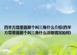四羊方尊里面那個(gè)叫三角什么介紹(四羊方尊里面那個(gè)叫三角什么詳細(xì)情況如何)