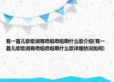 有一首兒歌歌詞有嚕啦嚕啦嘞什么歌介紹(有一首兒歌歌詞有嚕啦嚕啦嘞什么歌詳細情況如何)