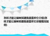 怎樣才能讓貓咪知道我很喜歡它介紹(怎樣才能讓貓咪知道我很喜歡它詳細(xì)情況如何)