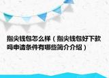 指尖錢包怎么樣（指尖錢包好下款嗎申請條件有哪些簡介介紹）