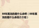 88年屬龍的是什么命?。?8年屬龍的是什么命簡(jiǎn)介介紹）