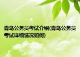 青島公務(wù)員考試介紹(青島公務(wù)員考試詳細(xì)情況如何)