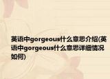 英語中g(shù)orgeous什么意思介紹(英語中g(shù)orgeous什么意思詳細(xì)情況如何)