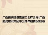 廣西鵬潤建設(shè)集團怎么樣介紹(廣西鵬潤建設(shè)集團怎么樣詳細情況如何)