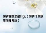伽羅的意思是什么（伽羅什么意思簡介介紹）