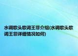 水調(diào)歌頭歌詞王菲介紹(水調(diào)歌頭歌詞王菲詳細(xì)情況如何)