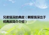 兄弟情深的典故（鶼鰈情深出于何典故簡(jiǎn)介介紹）