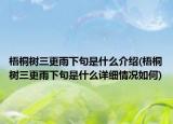 梧桐樹三更雨下句是什么介紹(梧桐樹三更雨下句是什么詳細情況如何)