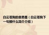 白云蒼狗的意思是（白云蒼狗下一句接什么簡(jiǎn)介介紹）
