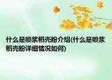 什么是噴漿稻殼粉介紹(什么是噴漿稻殼粉詳細情況如何)