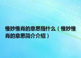 惟妙惟肖的意思指什么（惟妙惟肖的意思簡(jiǎn)介介紹）