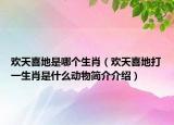 歡天喜地是哪個生肖（歡天喜地打一生肖是什么動物簡介介紹）