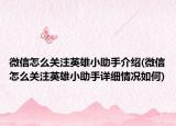 微信怎么關(guān)注英雄小助手介紹(微信怎么關(guān)注英雄小助手詳細情況如何)