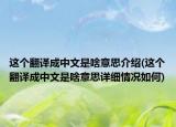 這個翻譯成中文是啥意思介紹(這個翻譯成中文是啥意思詳細(xì)情況如何)