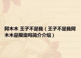 阿木木 王子不是我（王子不是我阿木木是限定嗎簡介介紹）