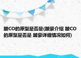 跛CO的原型是否是(跛豪介紹 跛CO的原型是否是 跛豪詳細(xì)情況如何)
