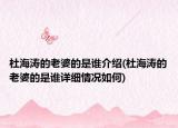杜海濤的老婆的是誰介紹(杜海濤的老婆的是誰詳細(xì)情況如何)