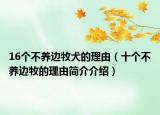16個(gè)不養(yǎng)邊牧犬的理由（十個(gè)不養(yǎng)邊牧的理由簡介介紹）
