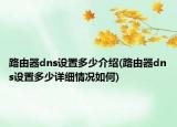 路由器dns設(shè)置多少介紹(路由器dns設(shè)置多少詳細(xì)情況如何)