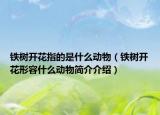 鐵樹開花指的是什么動物（鐵樹開花形容什么動物簡介介紹）