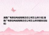 湖南廣電移動電視有限責(zé)任公司怎么樣介紹(湖南廣電移動電視有限責(zé)任公司怎么樣詳細(xì)情況如何)