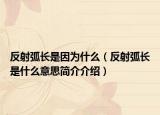 反射弧長是因為什么（反射弧長是什么意思簡介介紹）