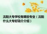 沈陽大專學(xué)校有哪些專業(yè)（沈陽什么大專好簡介介紹）
