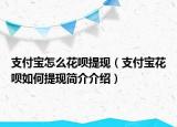 支付寶怎么花唄提現(xiàn)（支付寶花唄如何提現(xiàn)簡(jiǎn)介介紹）