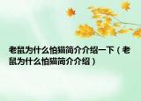 老鼠為什么怕貓簡(jiǎn)介介紹一下（老鼠為什么怕貓簡(jiǎn)介介紹）
