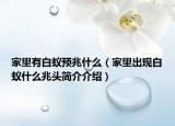 家里有白蟻預(yù)兆什么（家里出現(xiàn)白蟻什么兆頭簡(jiǎn)介介紹）
