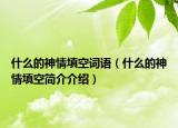 什么的神情填空詞語(yǔ)（什么的神情填空簡(jiǎn)介介紹）