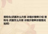 冒險島(武器怎么升級 詳細步驟啊介紹 冒險島 武器怎么升級 詳細步驟啊詳細情況如何)