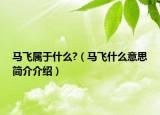 馬飛屬于什么?（馬飛什么意思簡(jiǎn)介介紹）