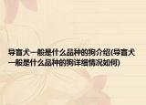 導(dǎo)盲犬一般是什么品種的狗介紹(導(dǎo)盲犬一般是什么品種的狗詳細(xì)情況如何)